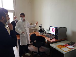 Histology-KCC