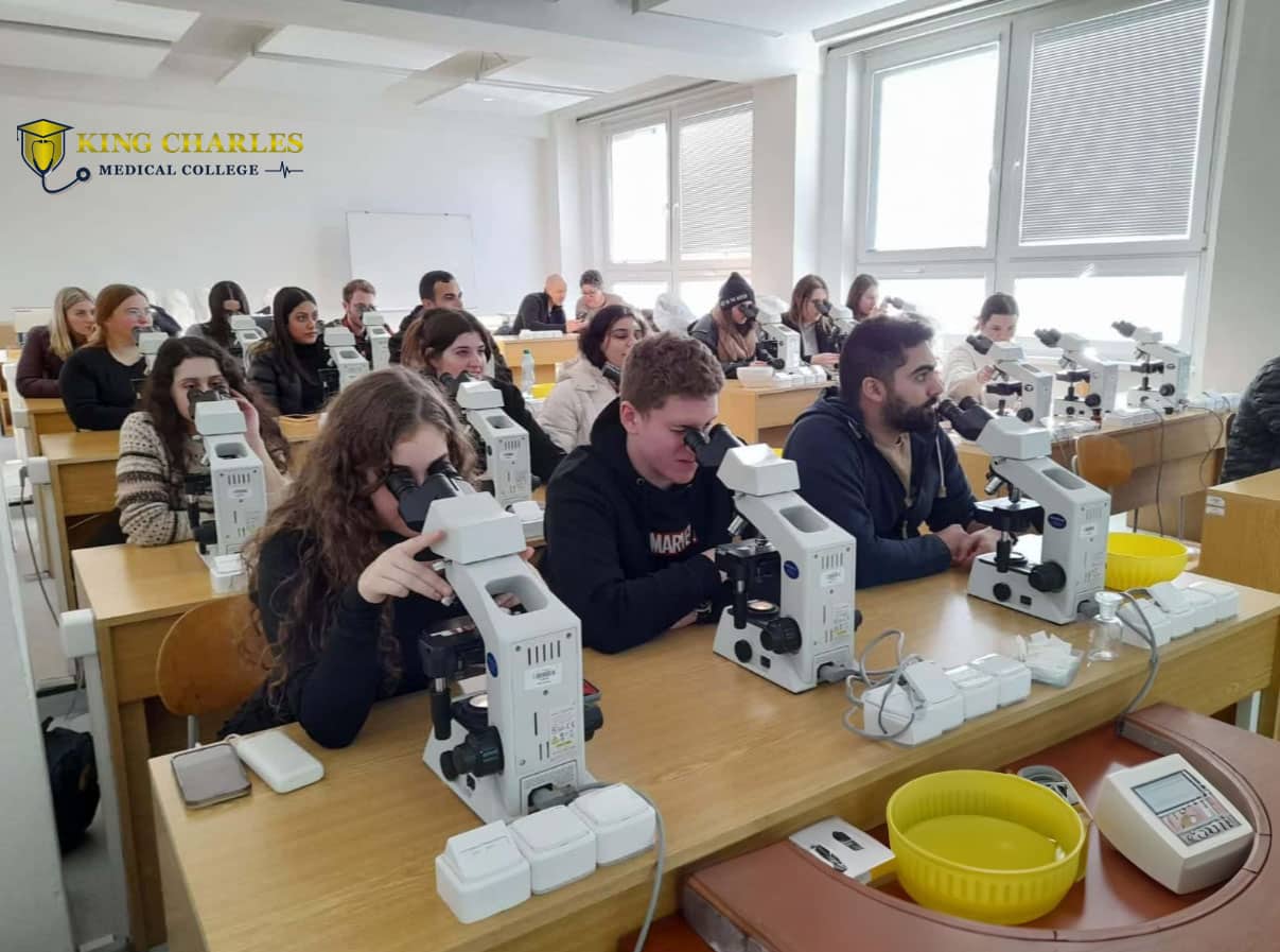 BIOMEDICAL ENGINEERING KING S COLLEGE ENTRY REQUIREMENTS visual data 8